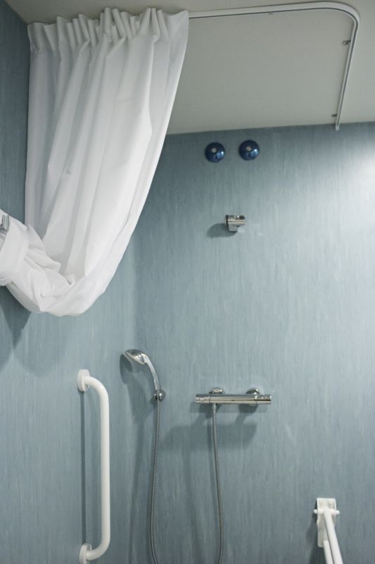 Accessible Shower Features